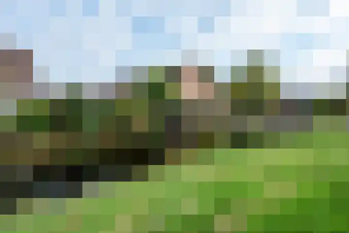 Kiellanden 26 Assen thumbnail 57
