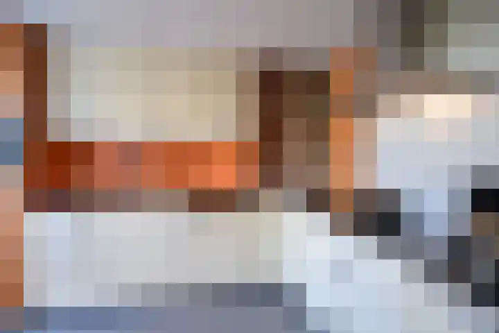 Kielzog 11 Huizen thumbnail 8