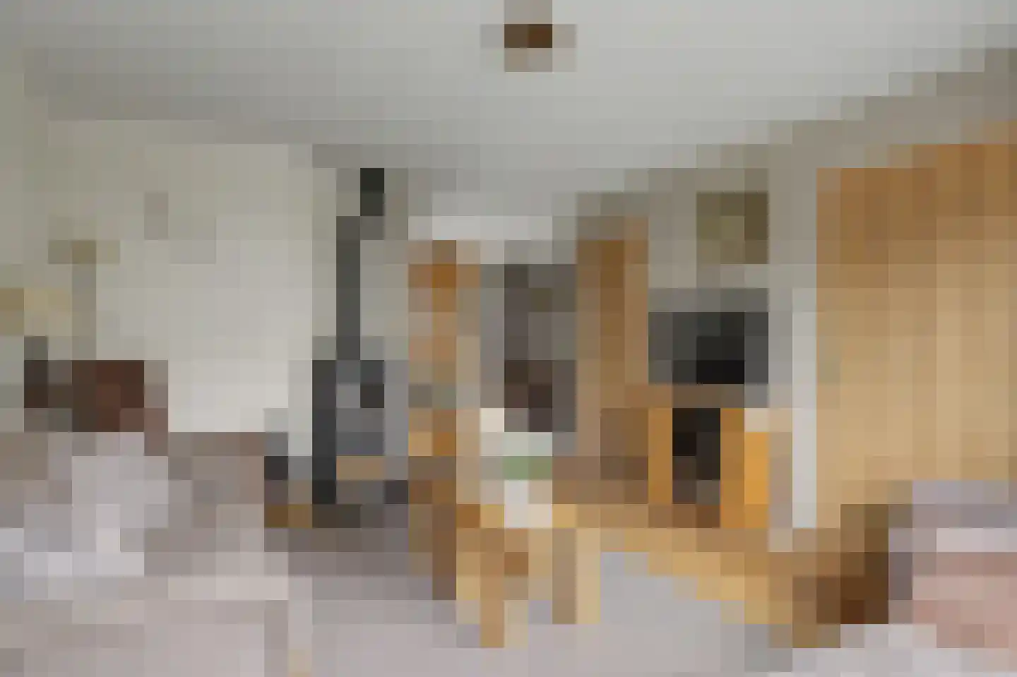 Kienderkamp 31 Harderwijk thumbnail 15
