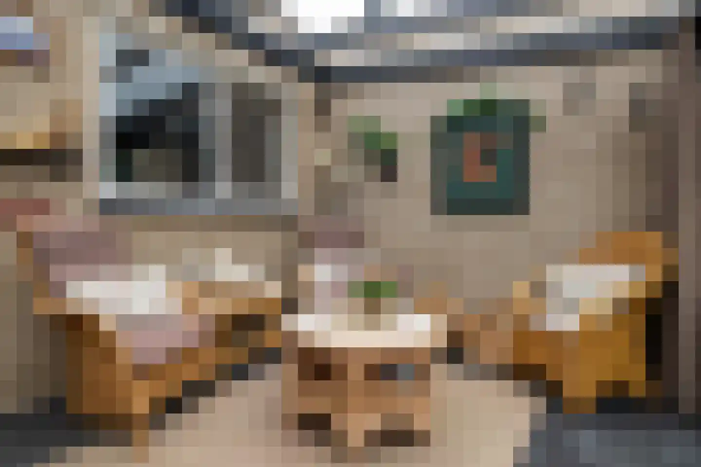 Kienderkamp 31 Harderwijk thumbnail 23