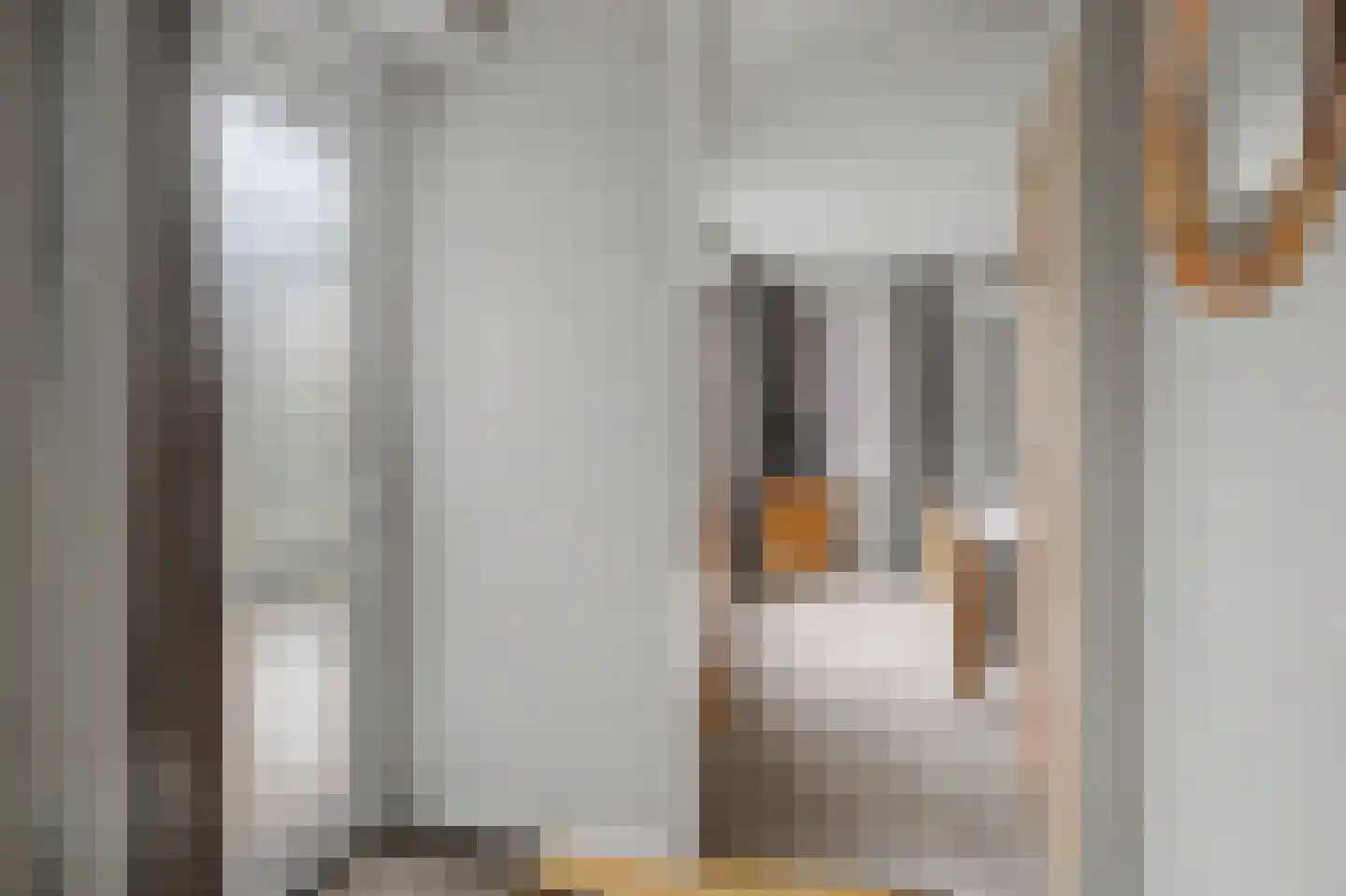 Kienderkamp 31 Harderwijk thumbnail 24