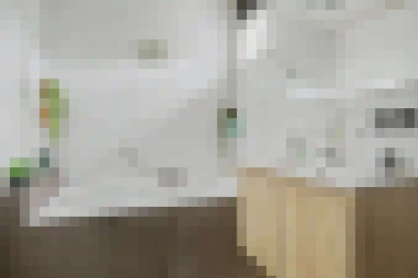 Kienderkamp 31 Harderwijk thumbnail 28