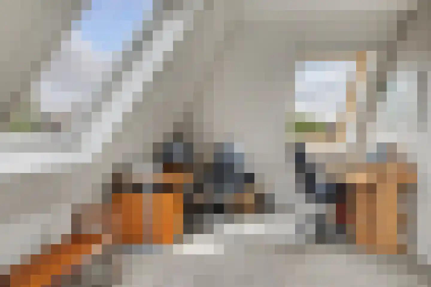 Kienderkamp 31 Harderwijk thumbnail 36