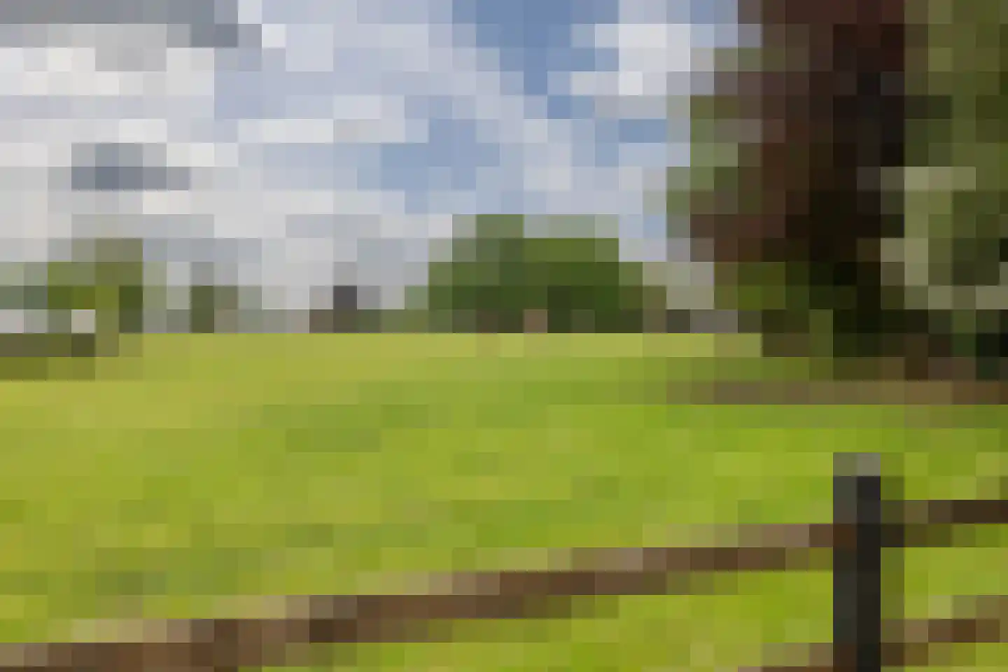 Kienderkamp 31 Harderwijk thumbnail 45