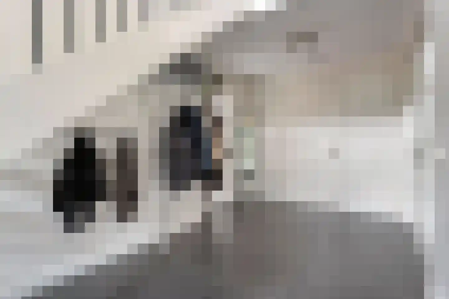 Kienholt 3 Zuidwolde thumbnail 11