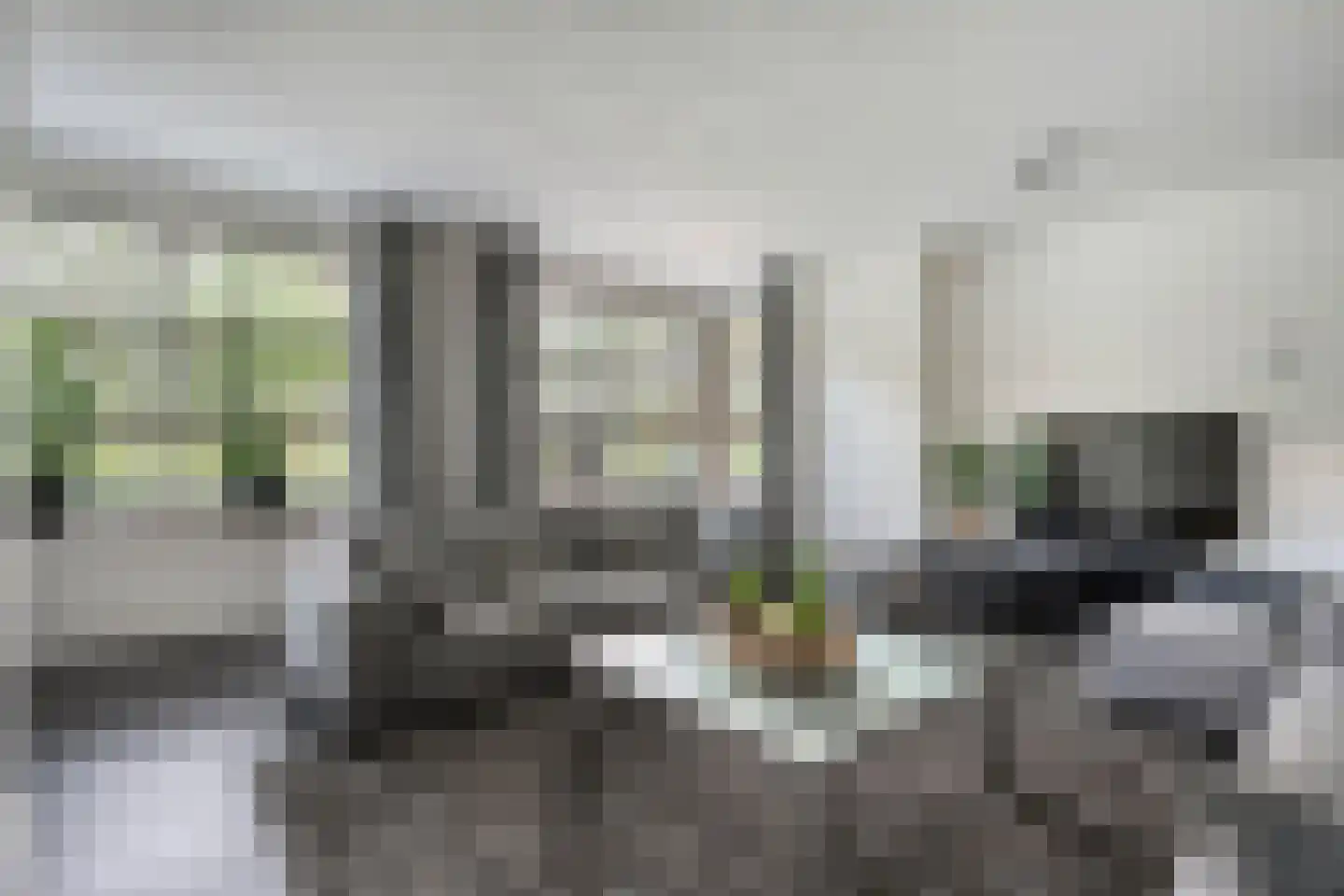 Kienholt 3 Zuidwolde thumbnail 17
