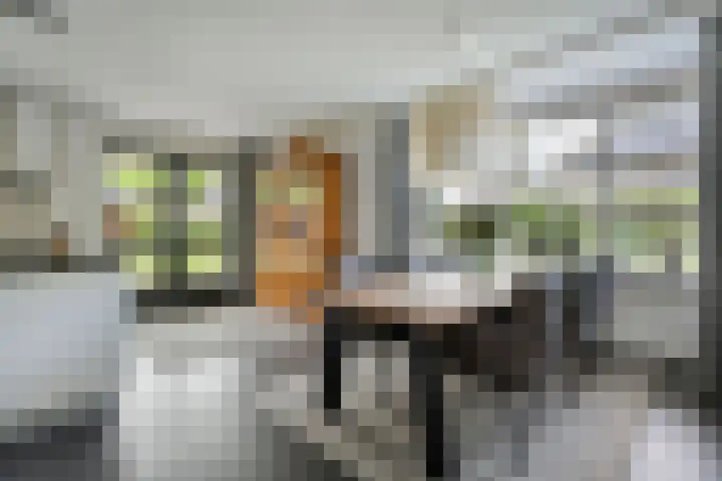 Kienholt 3 Zuidwolde thumbnail 18