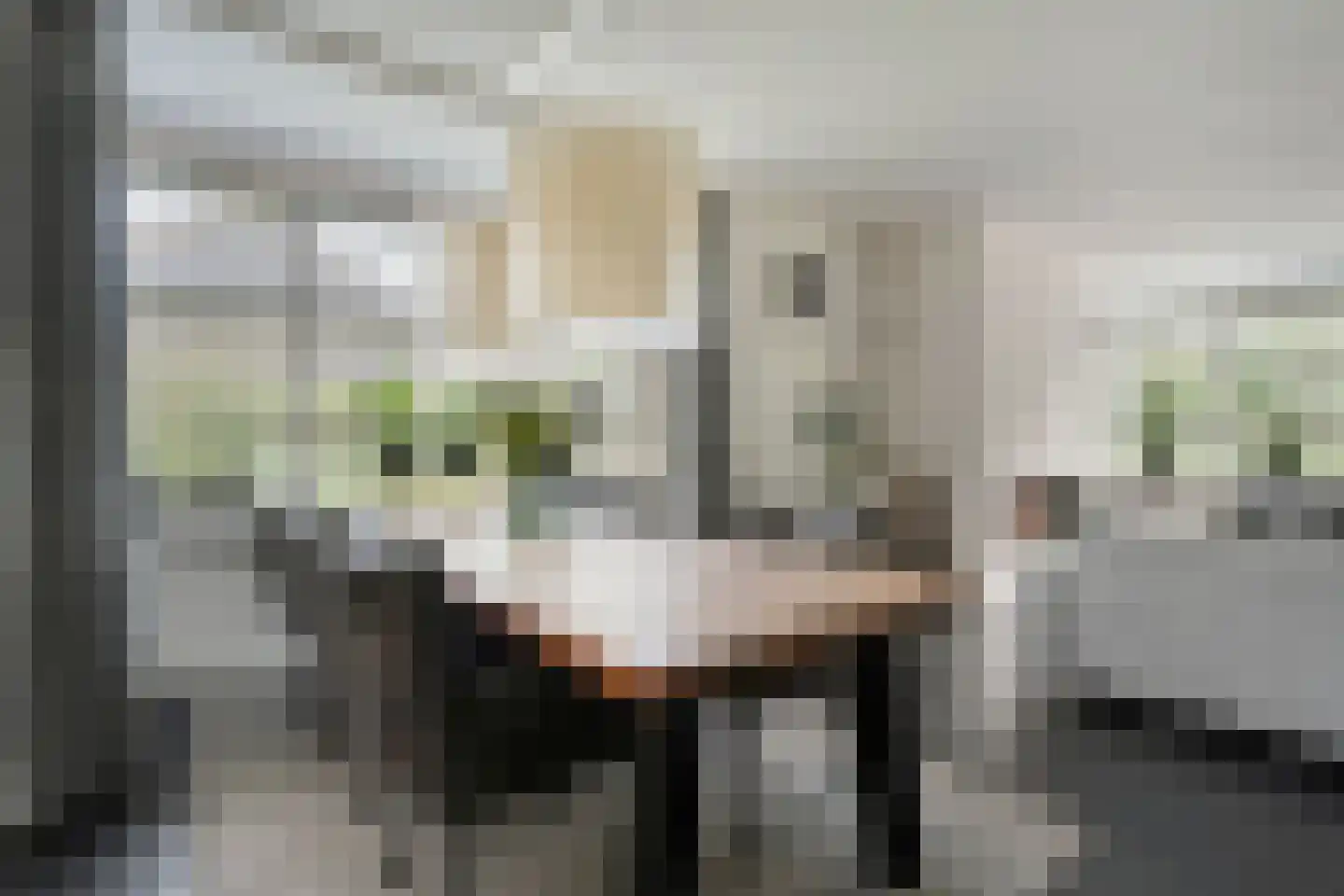 Kienholt 3 Zuidwolde thumbnail 19