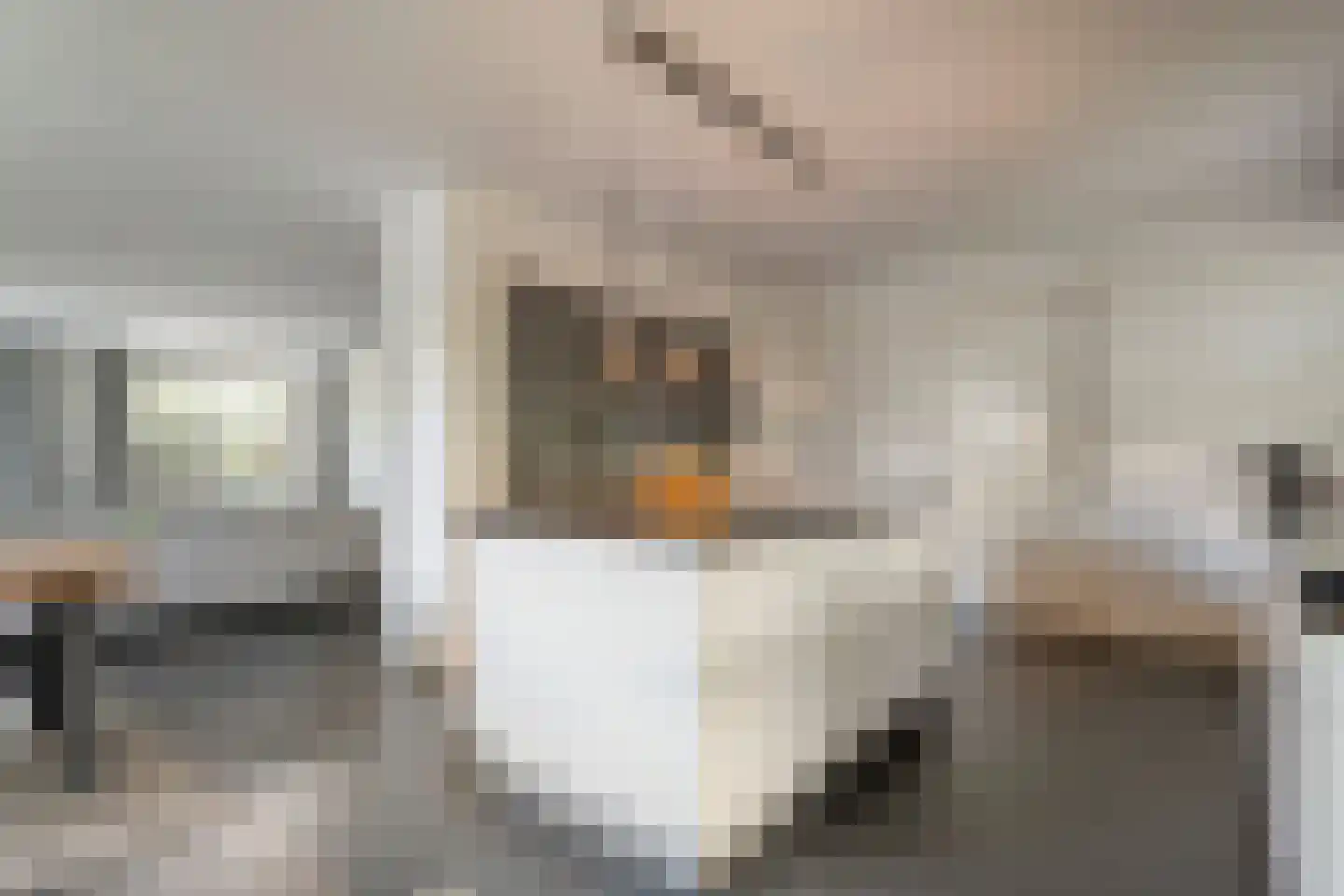 Kienholt 3 Zuidwolde thumbnail 22
