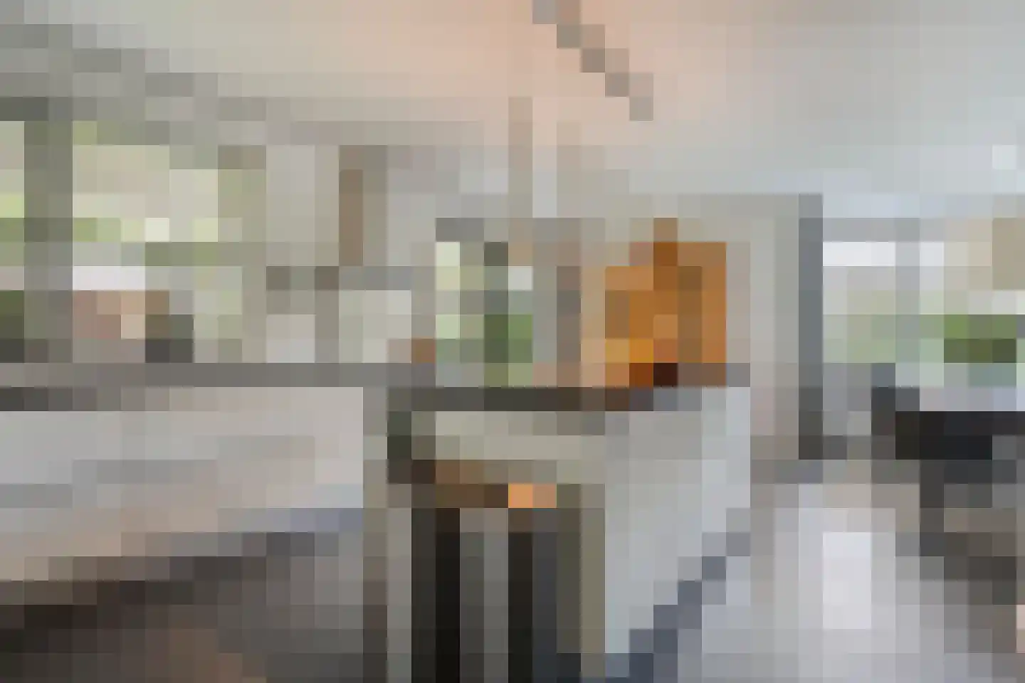 Kienholt 3 Zuidwolde thumbnail 24