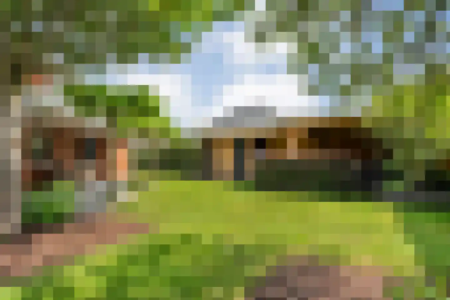Kienholt 3 Zuidwolde thumbnail 4