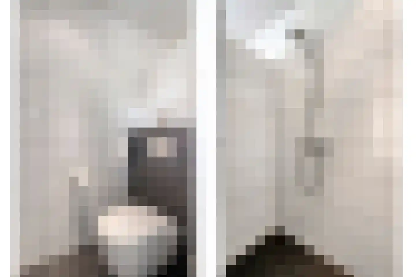 Kienholt 3 Zuidwolde thumbnail 41
