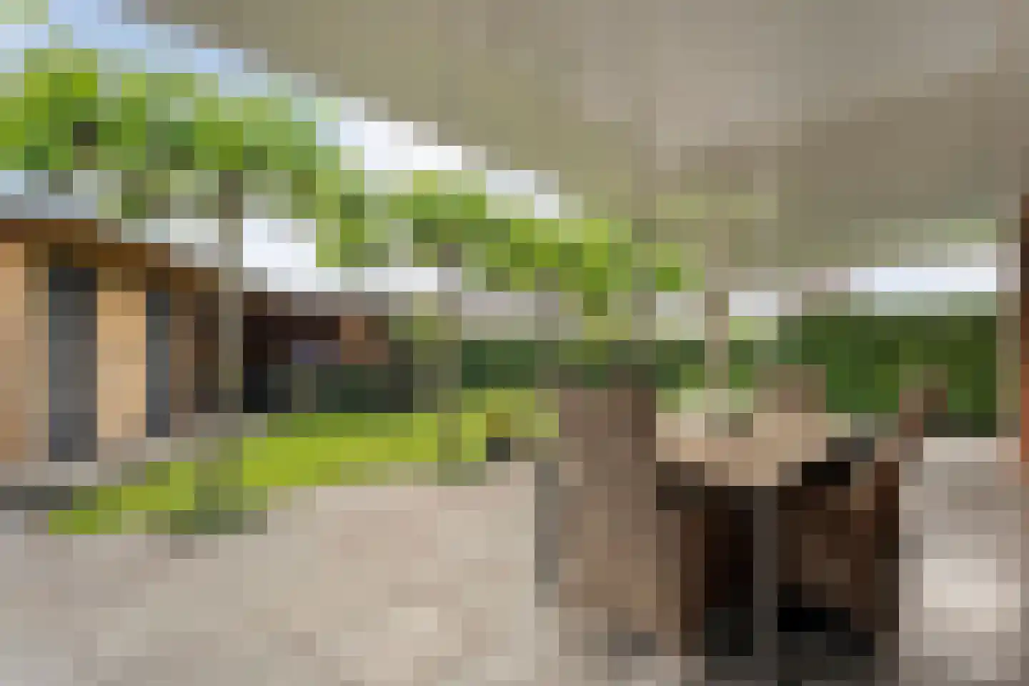 Kienholt 3 Zuidwolde thumbnail 51
