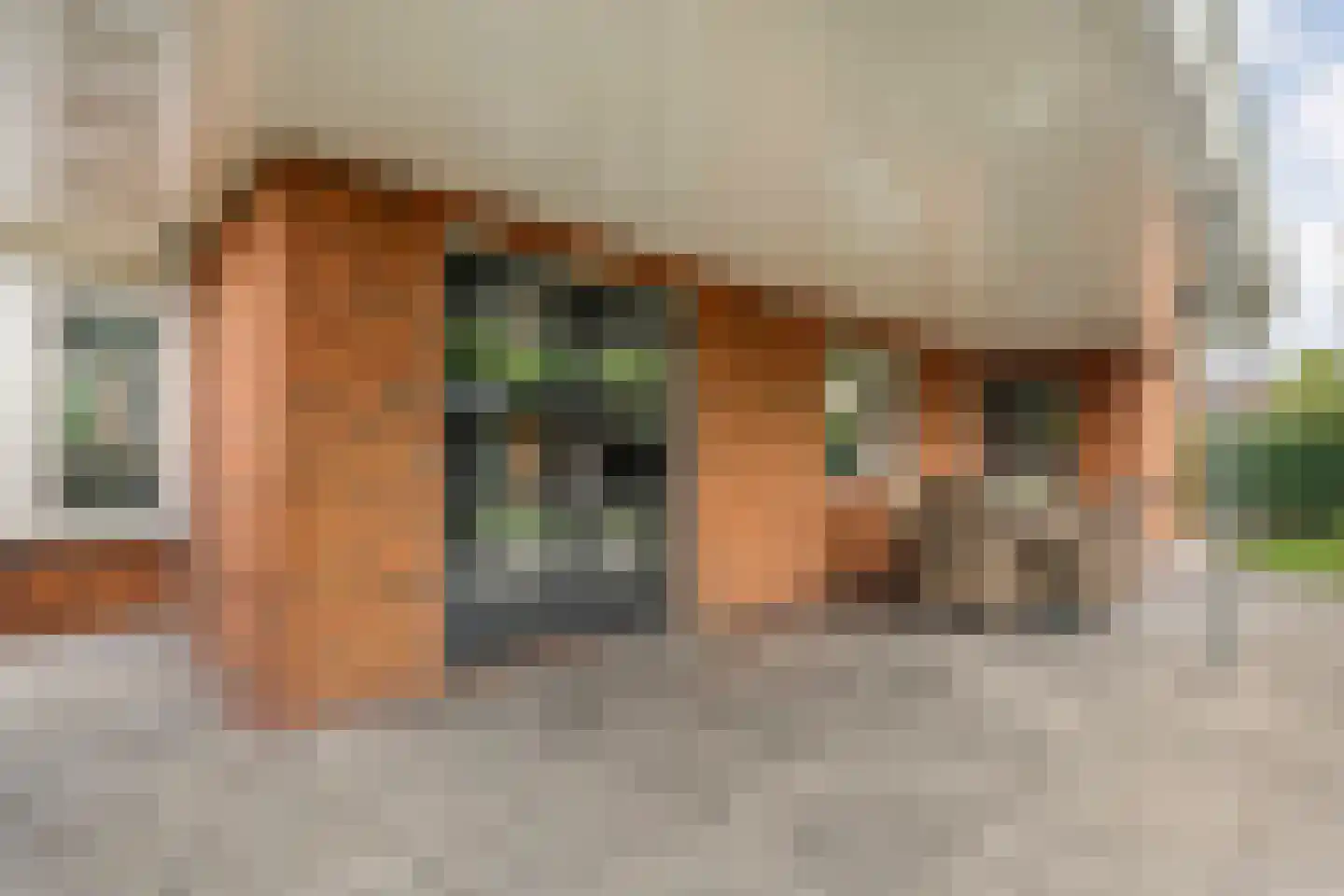 Kienholt 3 Zuidwolde thumbnail 53