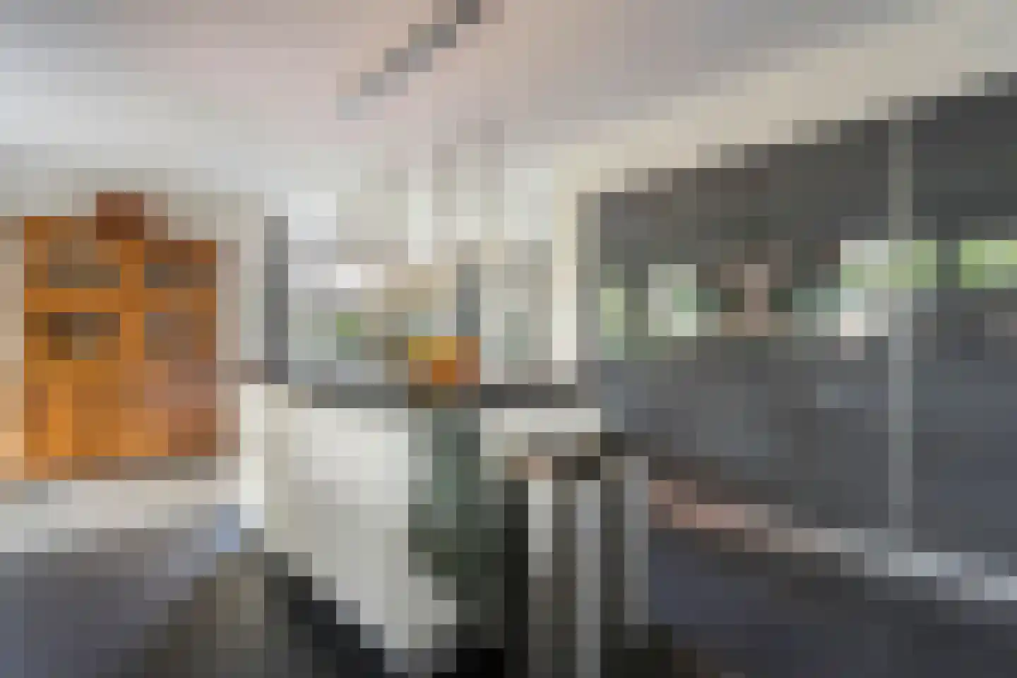 Kienholt 3 Zuidwolde thumbnail 6