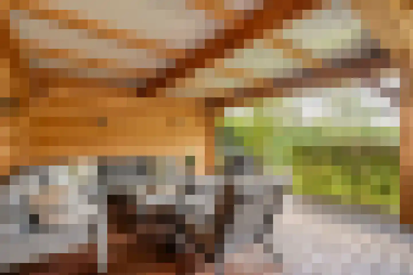 Kienholt 3 Zuidwolde thumbnail 60