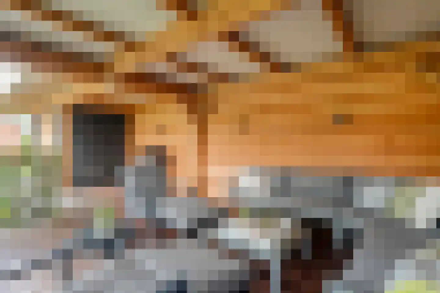 Kienholt 3 Zuidwolde thumbnail 61
