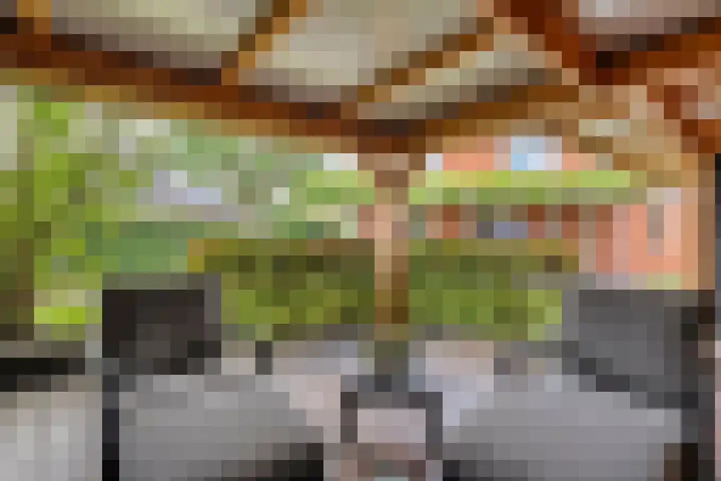Kienholt 3 Zuidwolde thumbnail 62