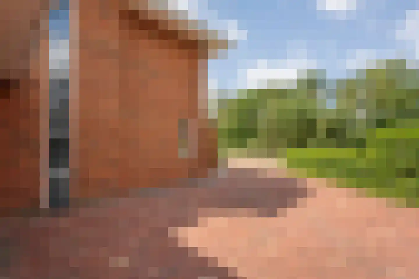 Kienholt 3 Zuidwolde thumbnail 64