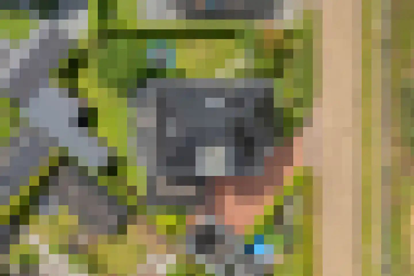 Kienholt 3 Zuidwolde thumbnail 69