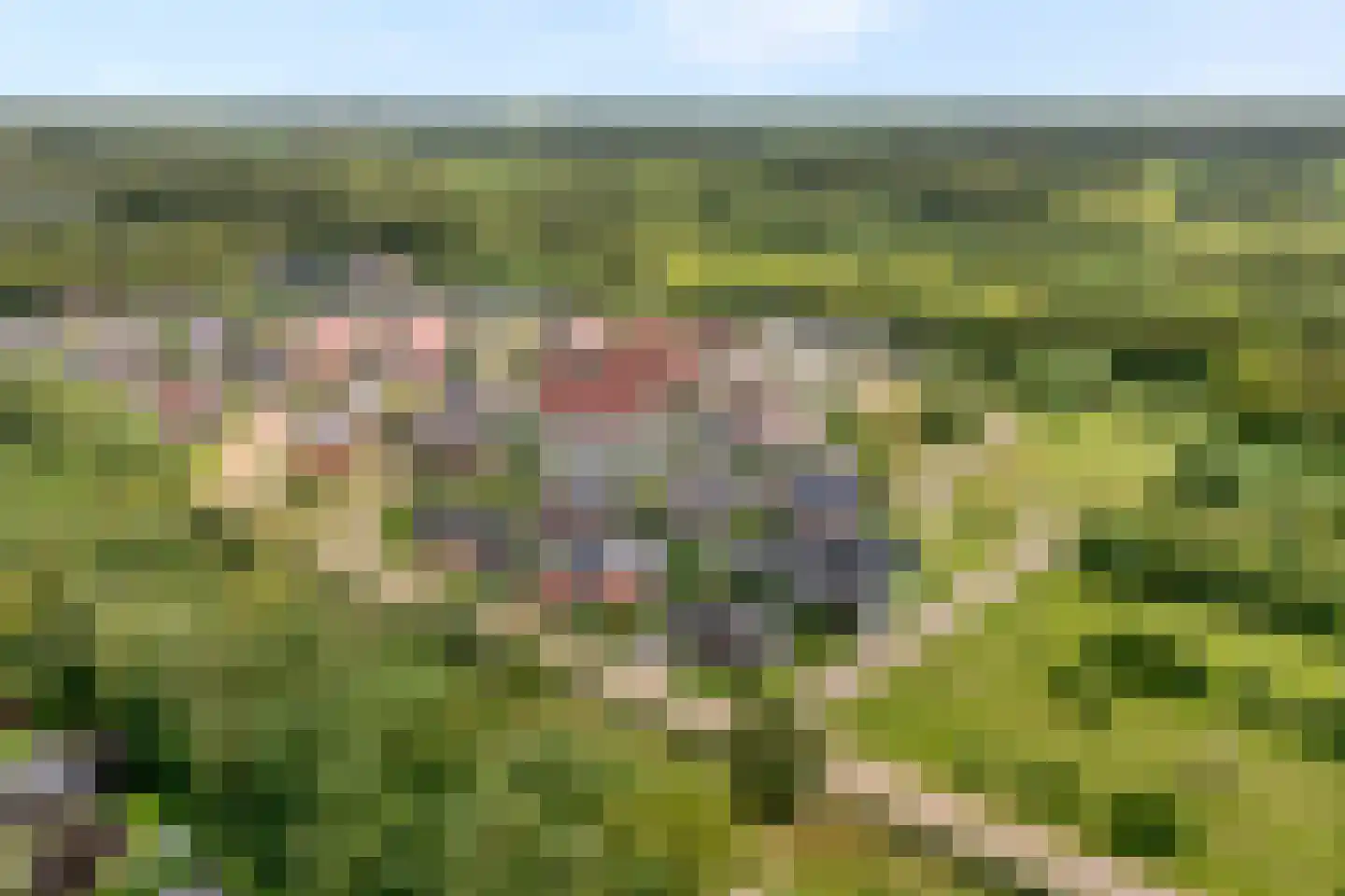 Kienholt 3 Zuidwolde thumbnail 70