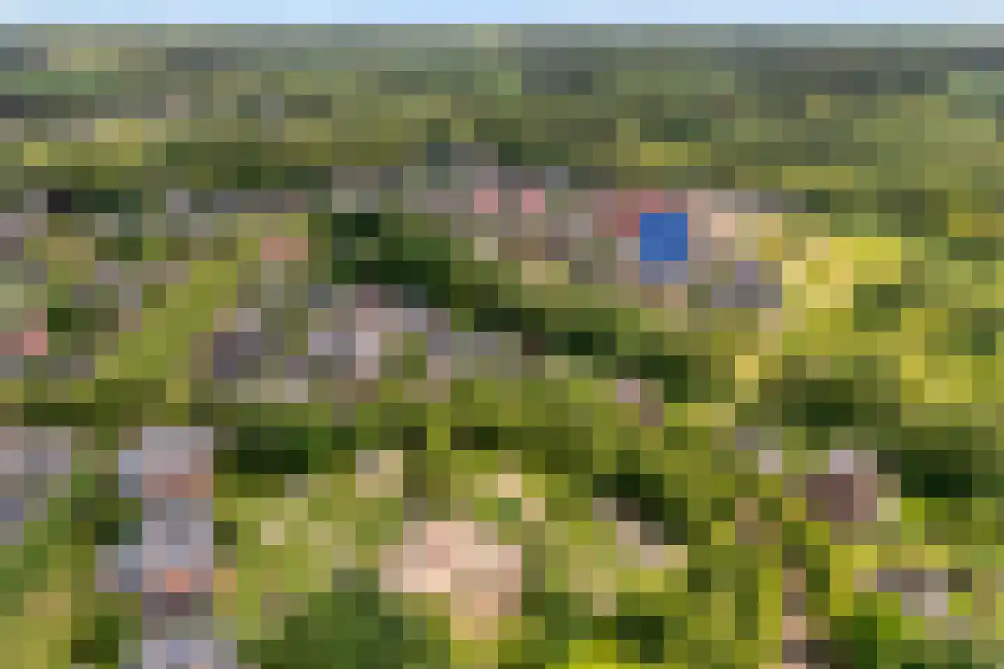 Kienholt 3 Zuidwolde thumbnail 71