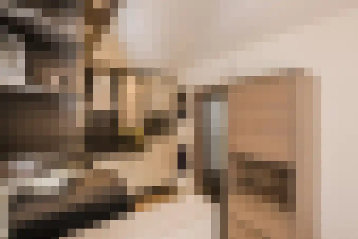 Kienstobbe 1 Zuidwolde thumbnail 12