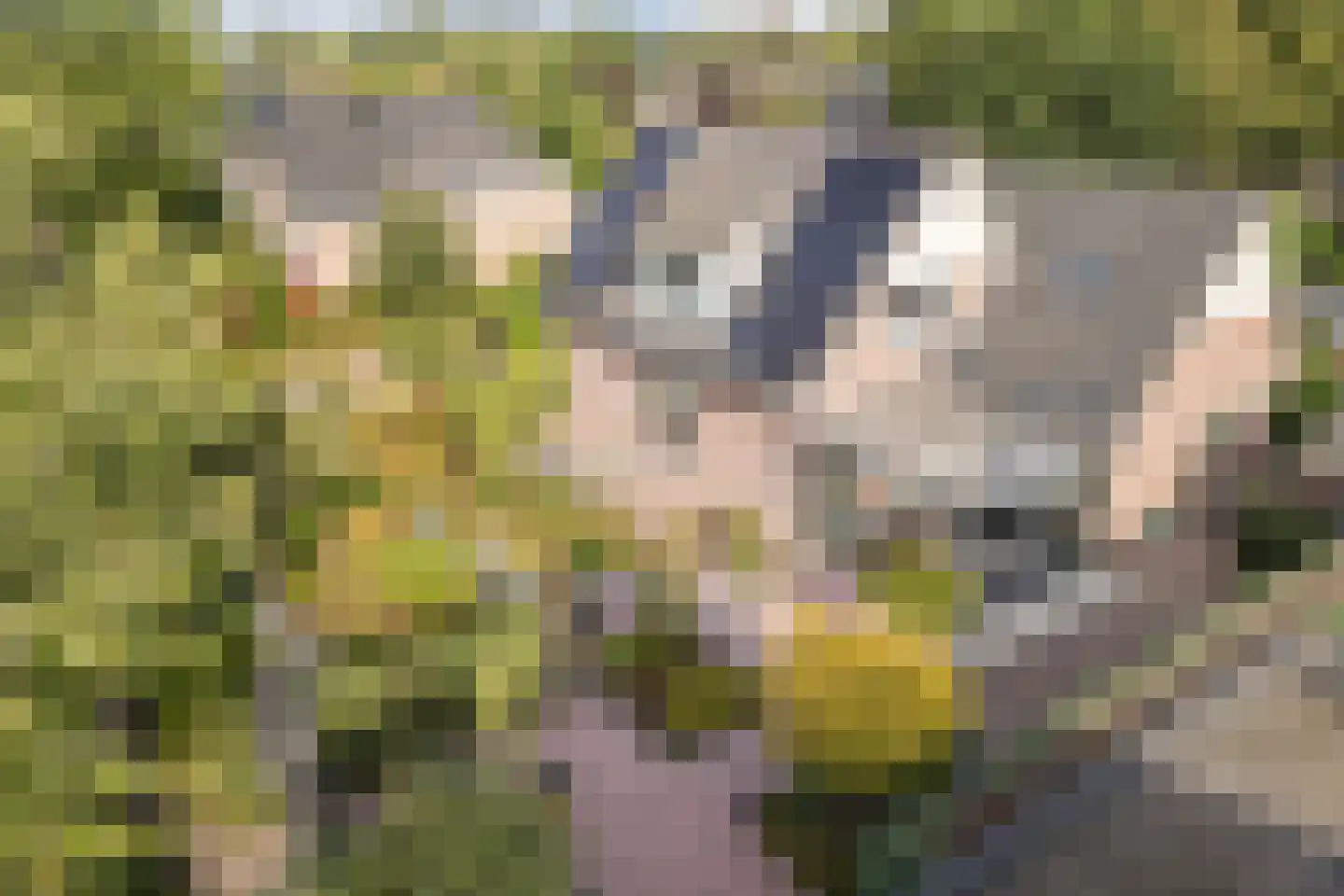 Kienstobbe 1 Zuidwolde thumbnail 12