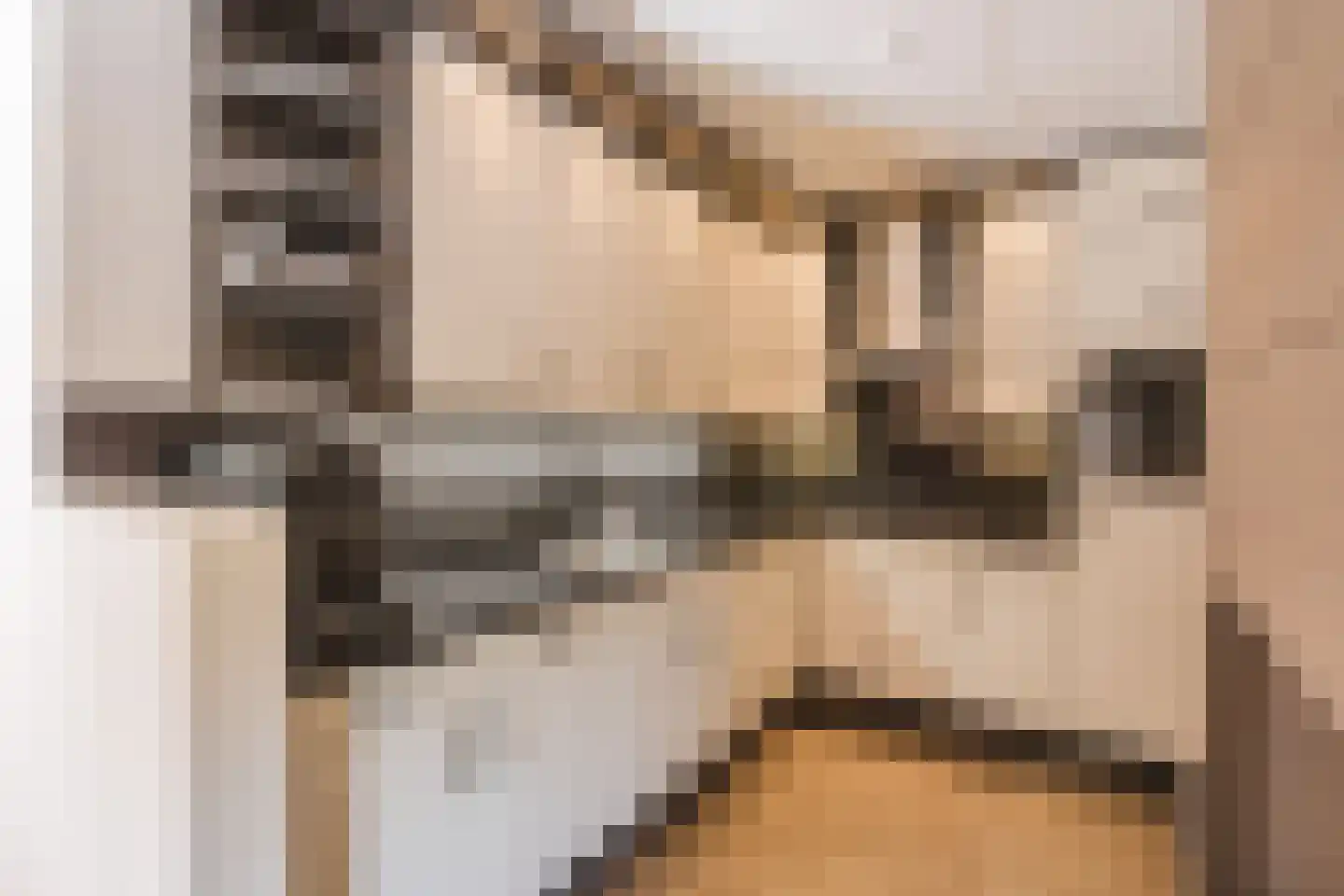 Kienstobbe 1 Zuidwolde thumbnail 14