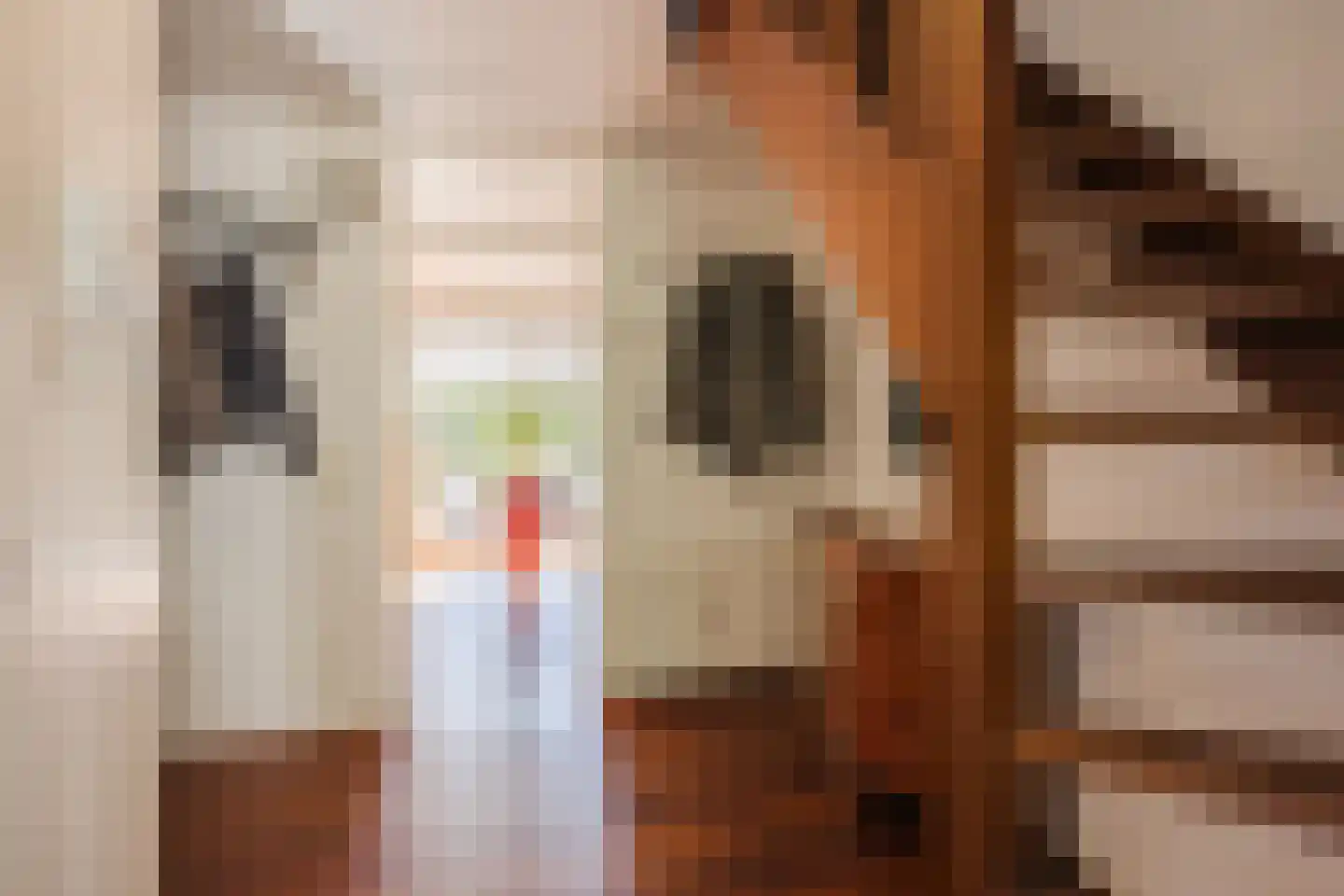 Kienstobbe 1 Zuidwolde thumbnail 20