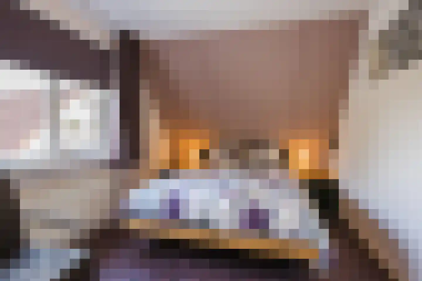 Kienstobbe 1 Zuidwolde thumbnail 24