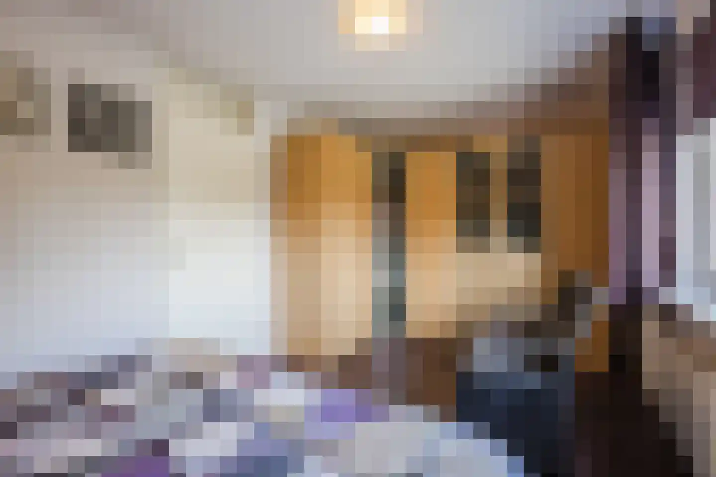 Kienstobbe 1 Zuidwolde thumbnail 25