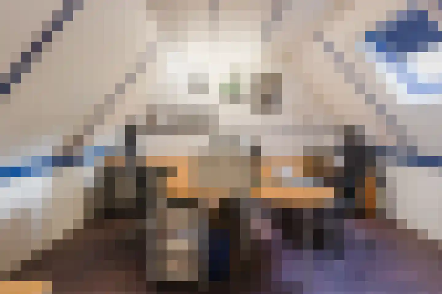 Kienstobbe 1 Zuidwolde thumbnail 39
