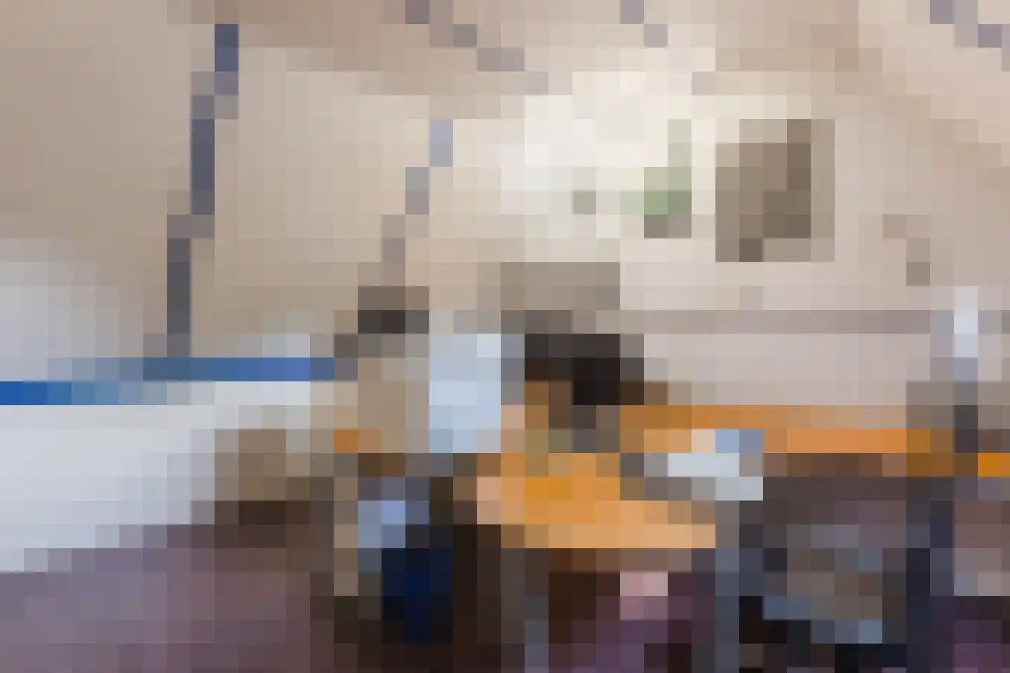 Kienstobbe 1 Zuidwolde thumbnail 40