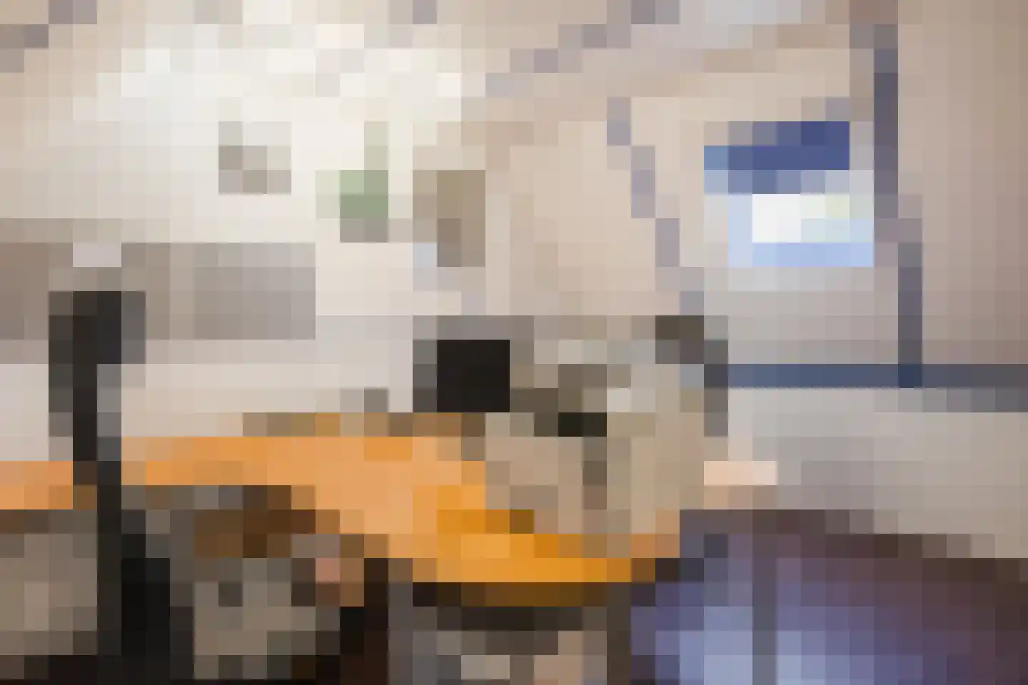 Kienstobbe 1 Zuidwolde thumbnail 41