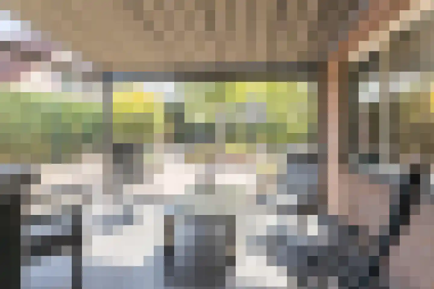 Kienstobbe 1 Zuidwolde thumbnail 44