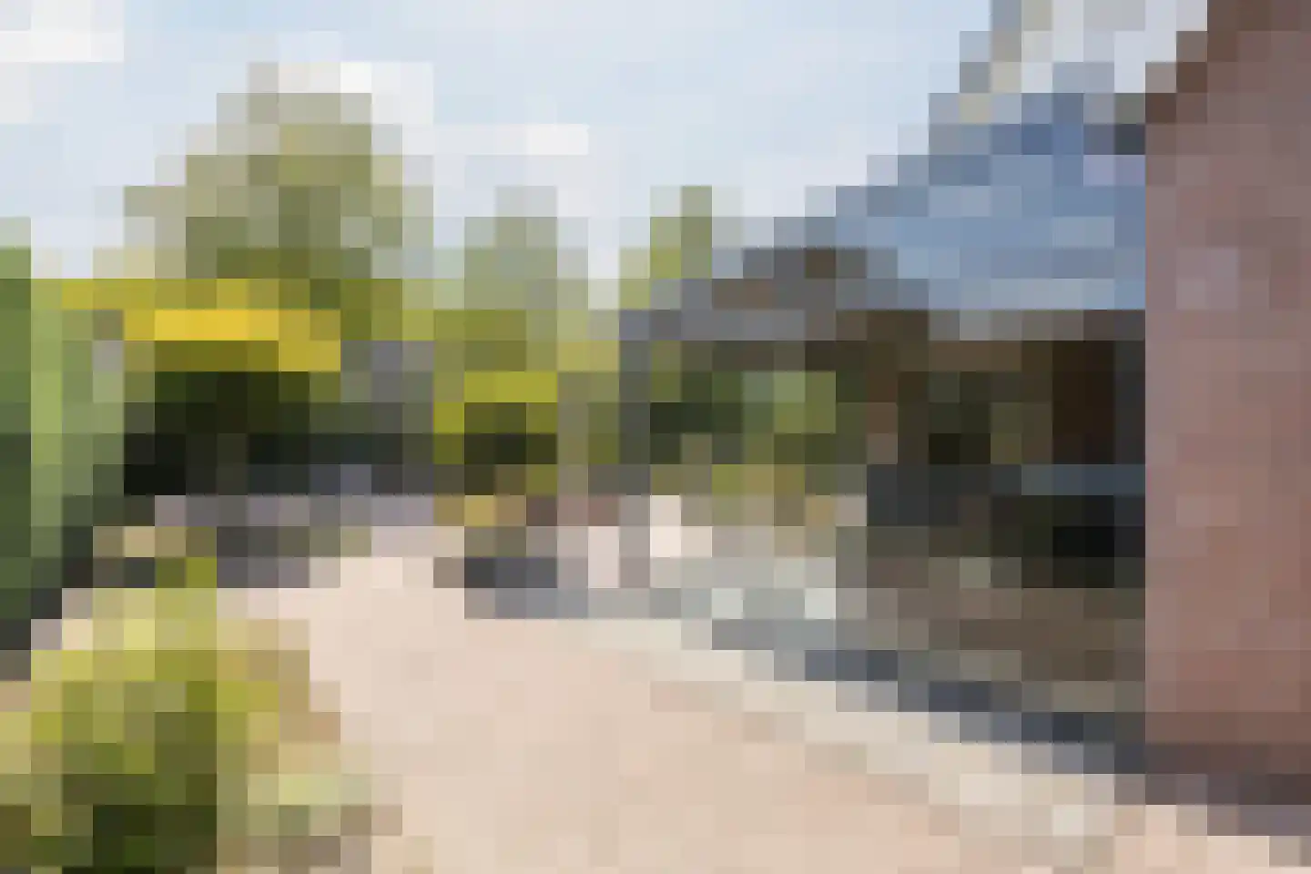 Kienstobbe 1 Zuidwolde thumbnail 49