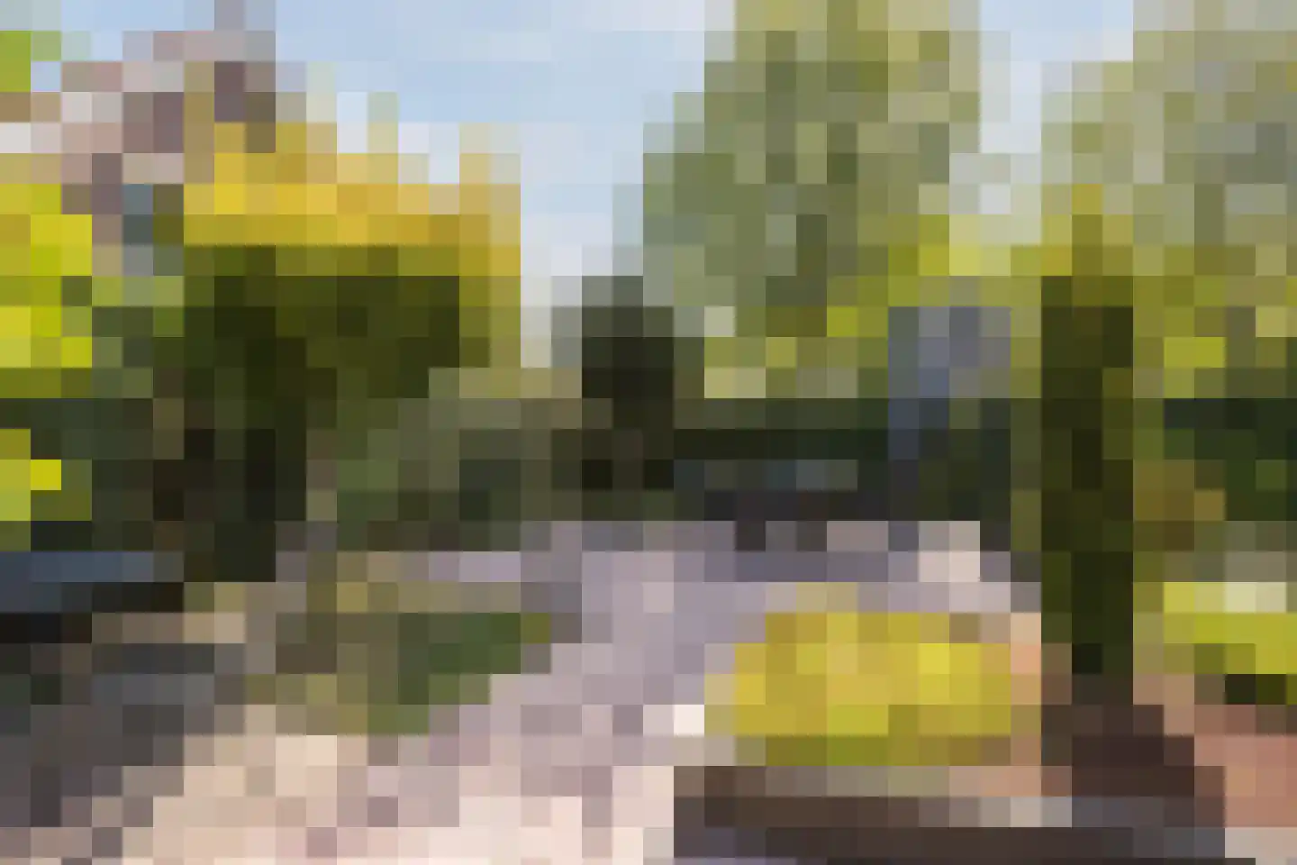 Kienstobbe 1 Zuidwolde thumbnail 50