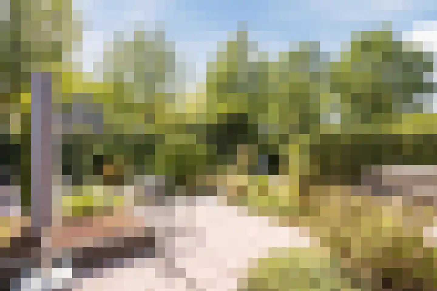 Kienstobbe 1 Zuidwolde thumbnail 52