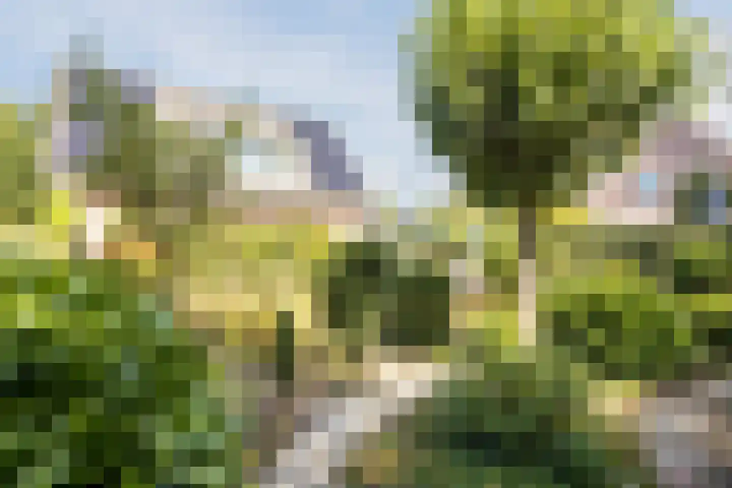 Kienstobbe 1 Zuidwolde thumbnail 55