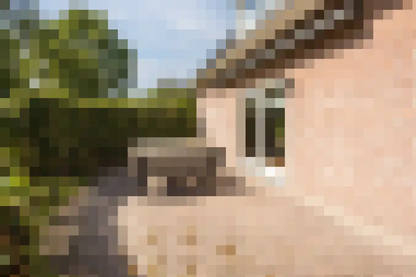 Kienstobbe 1 Zuidwolde thumbnail 56