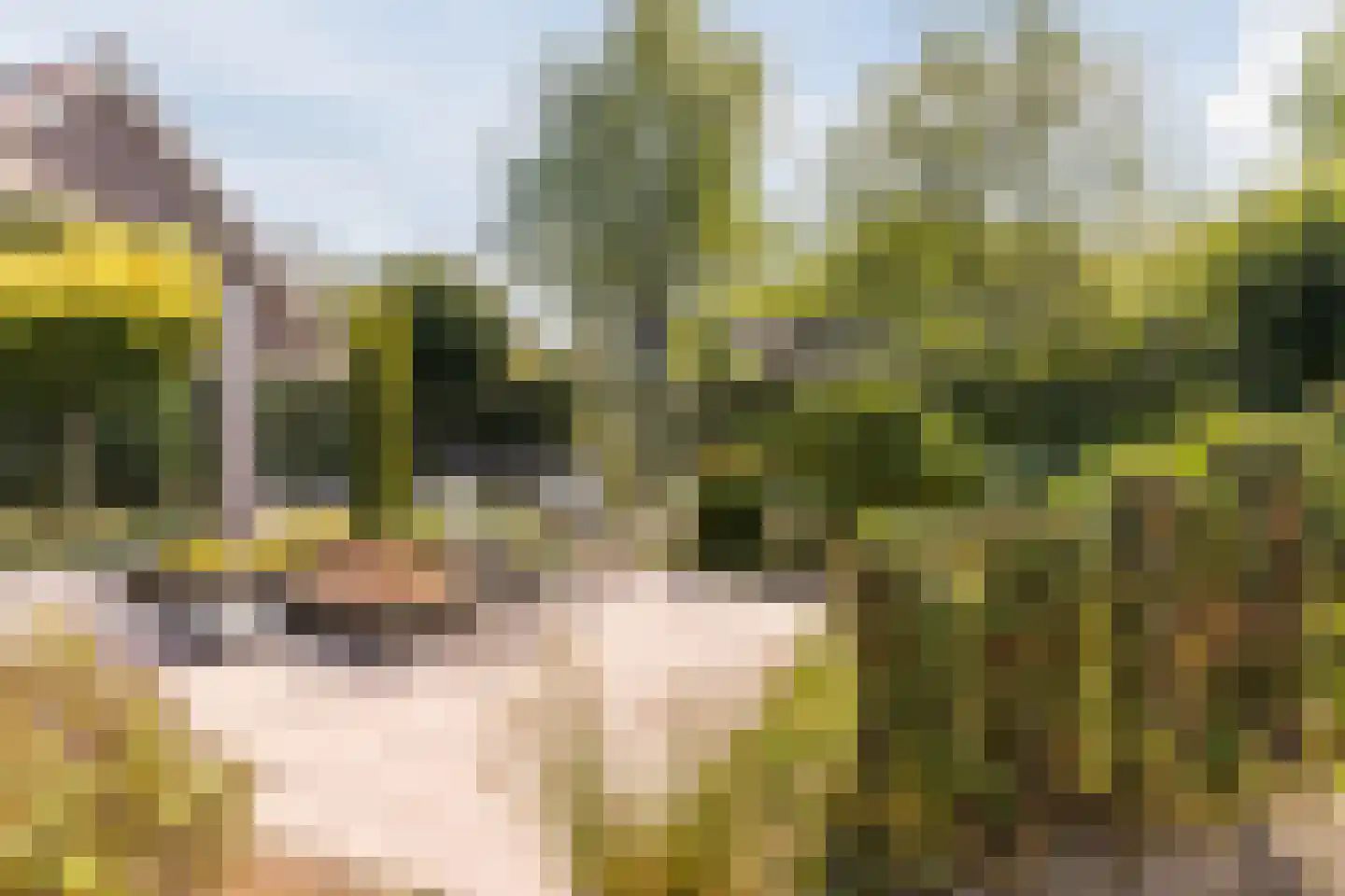 Kienstobbe 1 Zuidwolde thumbnail 58