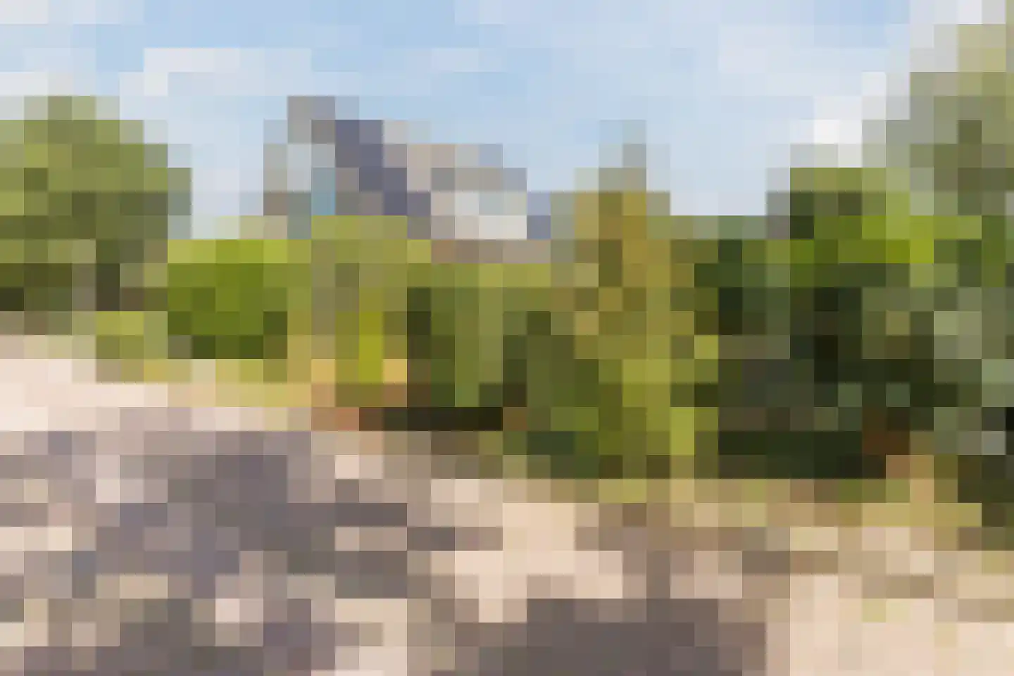 Kienstobbe 1 Zuidwolde thumbnail 63