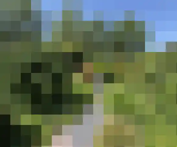 Kienstobbe 1 Zuidwolde thumbnail 65