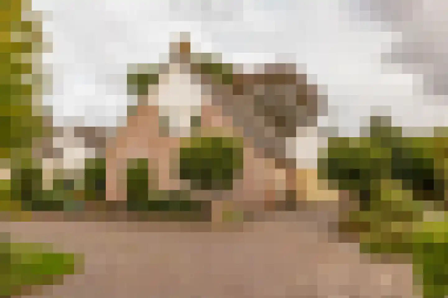 Kienstobbe 9 Zuidwolde