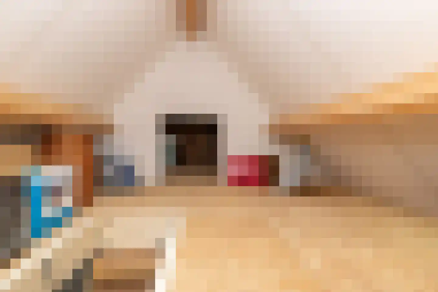 Kienstobbe 9 Zuidwolde thumbnail 43