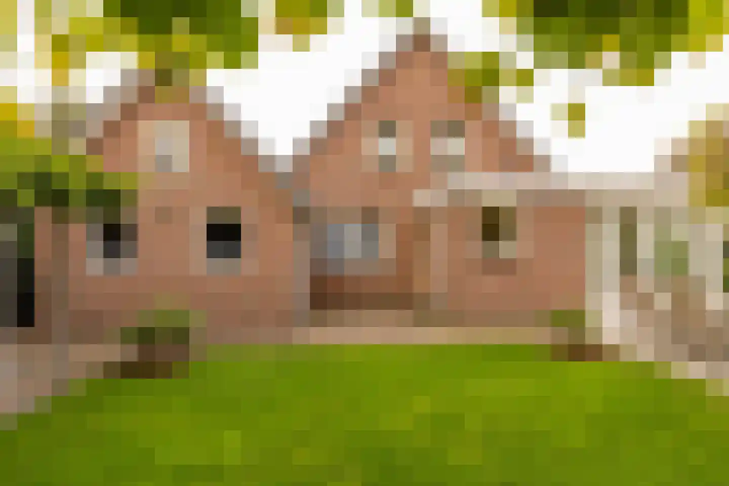 Kienstobbe 9 Zuidwolde thumbnail 48