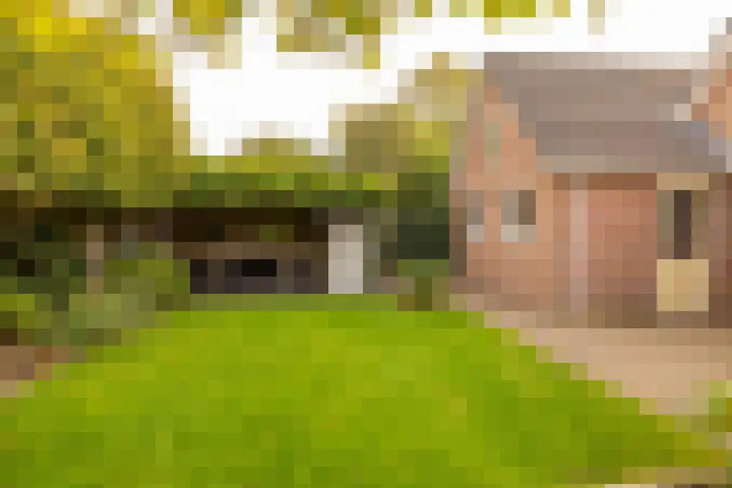 Kienstobbe 9 Zuidwolde thumbnail 49