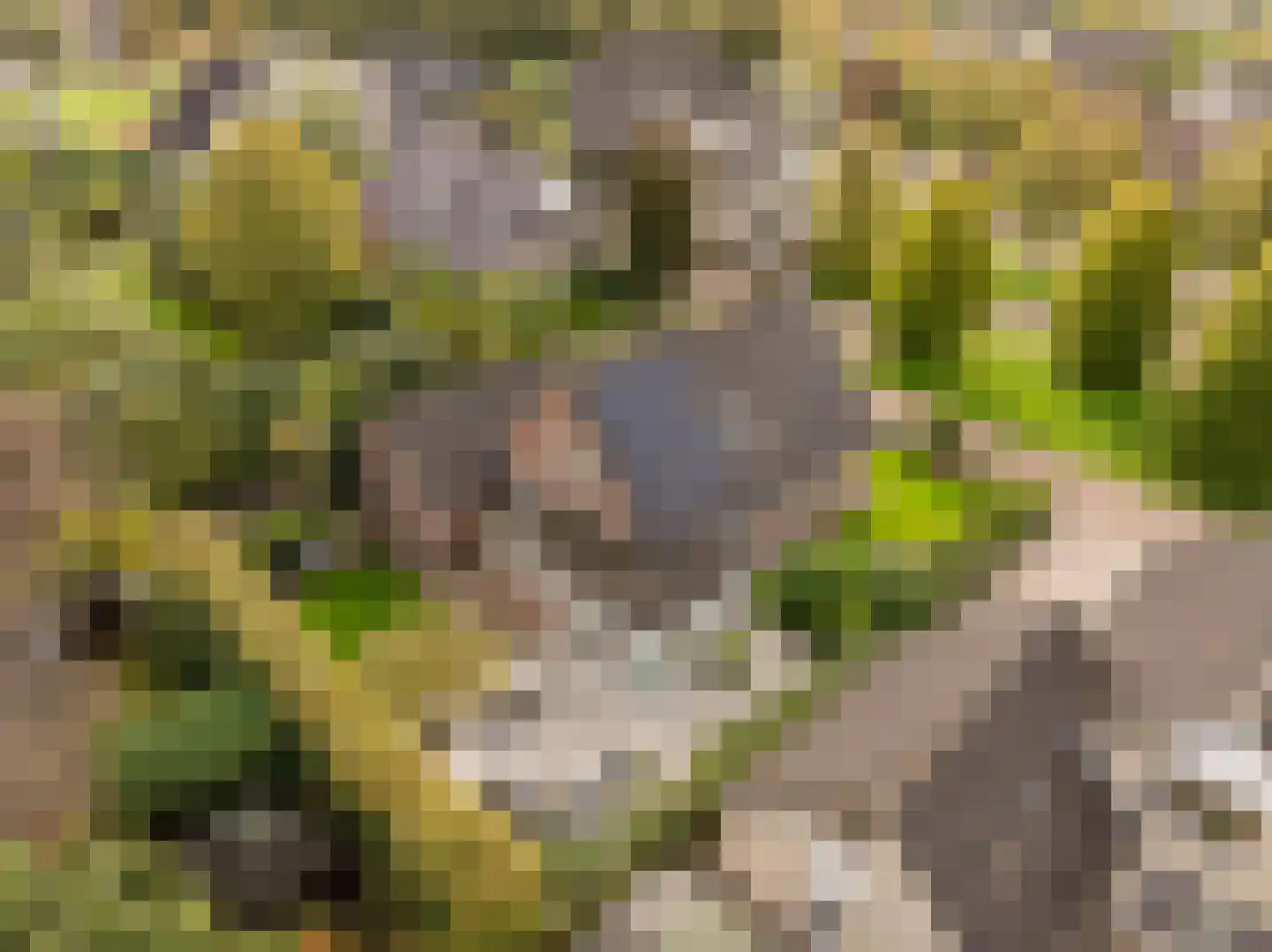 Kienstobbe 9 Zuidwolde thumbnail 5