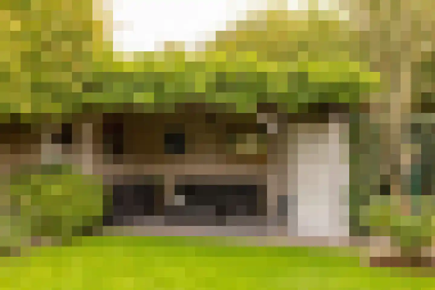 Kienstobbe 9 Zuidwolde thumbnail 50